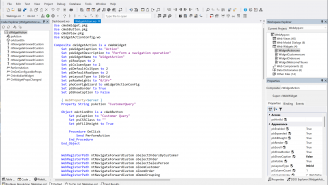 DataFlex 2025 - Composite