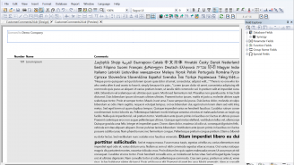 DataFlex Reports Developer Edition 2025 - Customer Comment HTML based