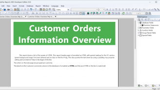 DataFlex Reports Developer Edition 2025 - HTML in preview