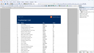 DataFlex Reports Standard Edition 2025 - Customerlist - Preview