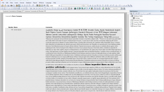 DEV Customer HTML Comments