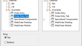 Download Drag and Drop Treeview | DataFlex Downloads Center